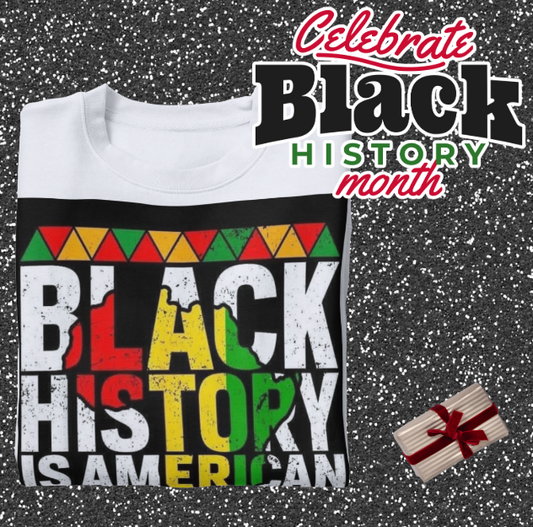 Black History is American History Long-sleeve Tshirt
